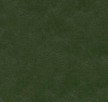 Линолеум Forbo Marmoleum Decibel on Order 335935 bottle green фото 1 | FLOORDEALER